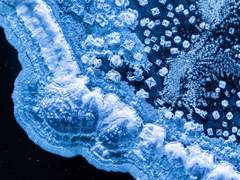 [루미나인] 왜 사람들은 약속을 해놓고 지키지 않는 걸까요? 정말 이해가 안 돼요. 제가(중략)