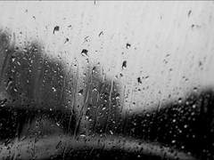 우리 함께 비를 맞을까요.