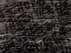 연극 [로테/운수]