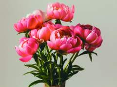 [아츠키타/스나오사] 침전_1