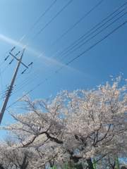 아마도 100개의 제목이 생길 이야기