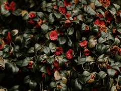 원冤하다. 一章