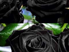 저장소 이용 방법