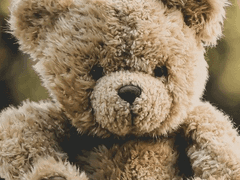 아무도 듣지 못했을 이야기