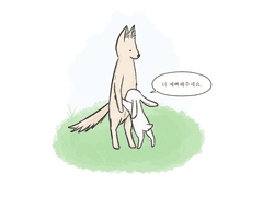 동물 타입 커미션