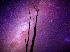 때때로 우리는,