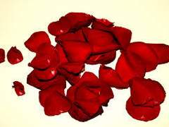 기침과, 가난과, 사랑은, #17