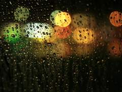 루드살로메 : 봄날