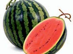 네랏페바 타로커미션 백업