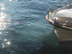 백귤 (백경규린)