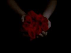 [알베여앜] Doomsday