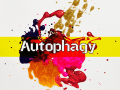 Autophagy