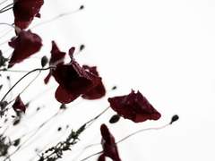 친해짐의 방법은 다양하다 (3)