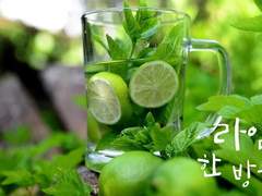 1. 라임(LIME)의 남자 (2)