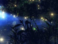 푸른 꽃 : 제 5장