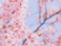 형의 계절이에요.