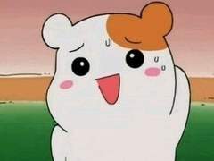 지랄맞은 오늘의 하루