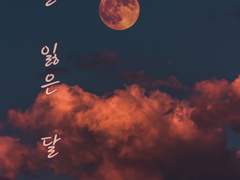 빛을 잃은 달-11