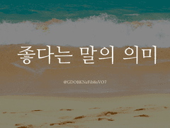 [빙하청추] 좋다는 말의 의미