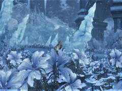 소울본 사진 백업 (1)