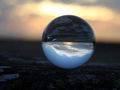 멋진 신세계 (21)