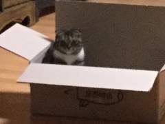 팬들의 사랑이란 무엇일까