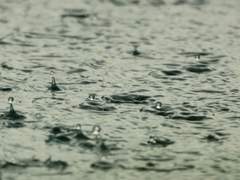 중혁독자 - 비가 내리는 날에는