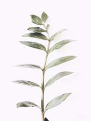 [Vol.1] 2020 여름호