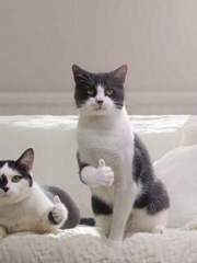 좋아하는 글에게로 로켓배송