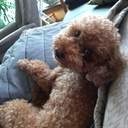 여름날(Day Of Summer)/KOKO