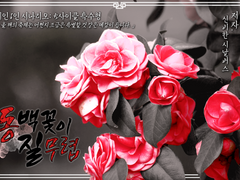 [inSANe] 동백꽃이 질 무렵