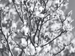 태자전하전상서(太子殿下前上書) - 中