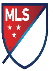 미국 축구  MLS경기분석