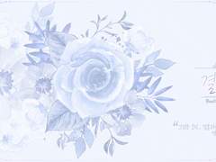 [바슈리아] 결혼전야 세션카드