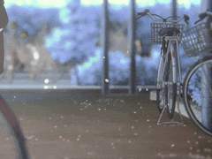 [퐁샷/빈린] 달그림자