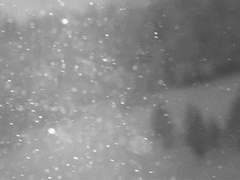 [(남)아델베로] 낙인에 대하여 下