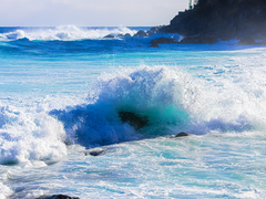 (수정) 휴재 작품 공지 및 연재 작품 공지