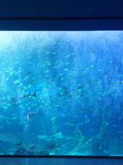 헷세히토 연성.