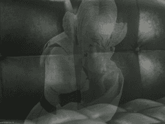 [심령사진 이벤트]