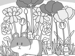 거대 햄스터 토란이(1)