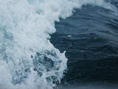 내게 더 많은 목요일을 주세요