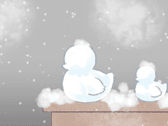 하얀 눈 오리, 작은 혼마루