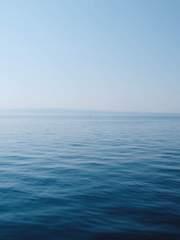 짝사랑에 관하여