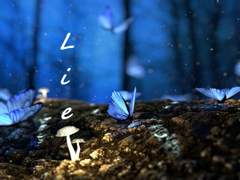 진실을 위한 거짓말. 11