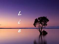 [수정]자문의 대답을 위한 거짓말. 13