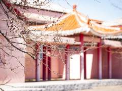 죽으러 돌아왔습니다.