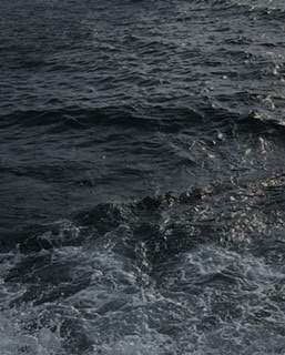 살던가말던가하는걸로나눌수없다는건