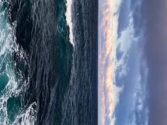 나를 사랑한다고 말해