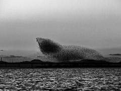 이 밤이 지나면 (1)