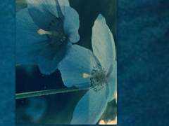 빠져서 죽어버리고 싶었어